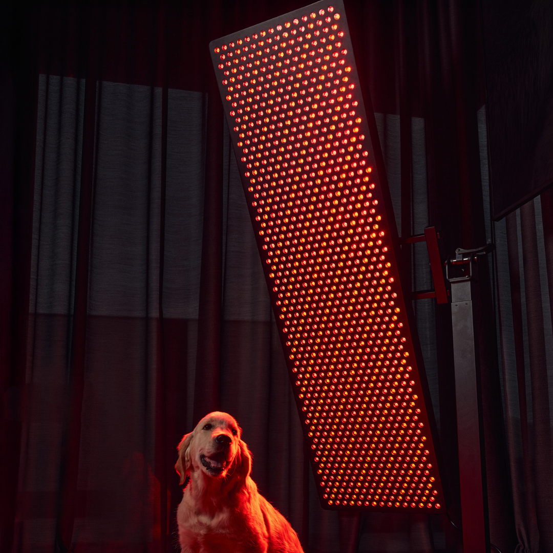 MITO LIGHT® Master 5.0 sarkanās gaismas un tuvā infrasarkanā starojuma panelis